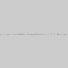 Image of Recombinant Bordetella Parapertussis rpmH Protein (aa 1-44)